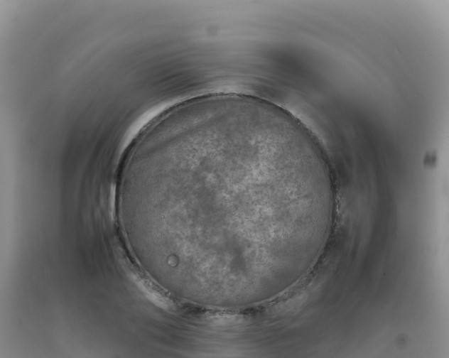 X0000092100886200709191304