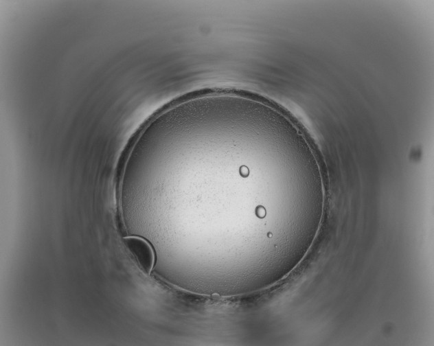 X0000092100887200709191304