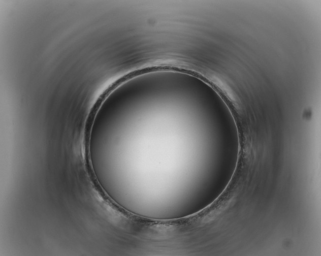 X0000092100888200709191304