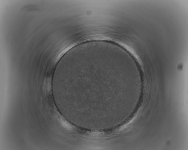 X0000092100889200709191304