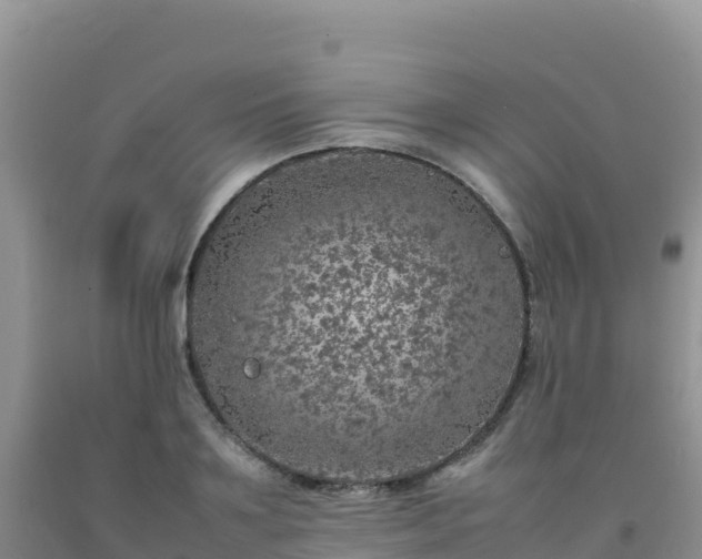 X0000092100891200709191304