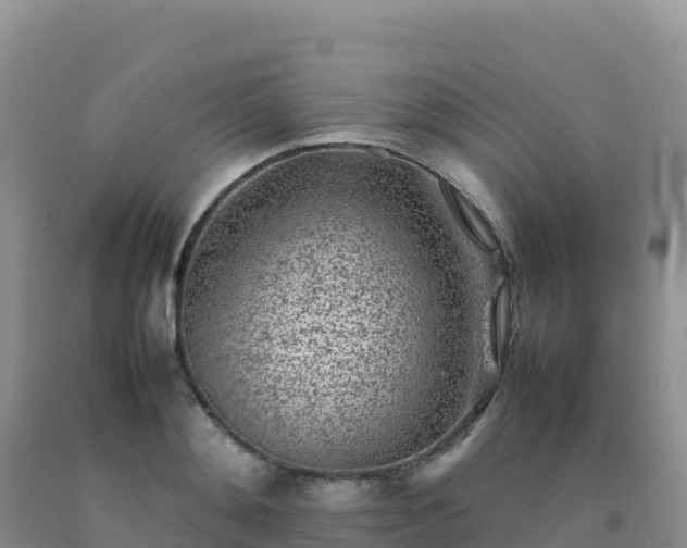 X0000092100892200709191304