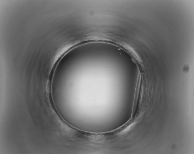 X0000092100893200709191304