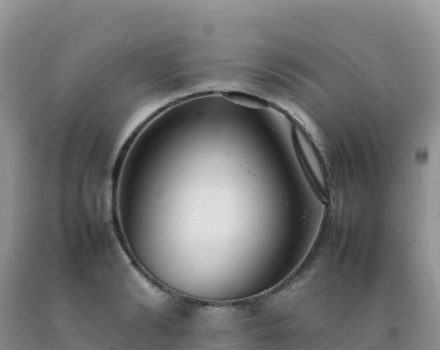 X0000092100894200709191304