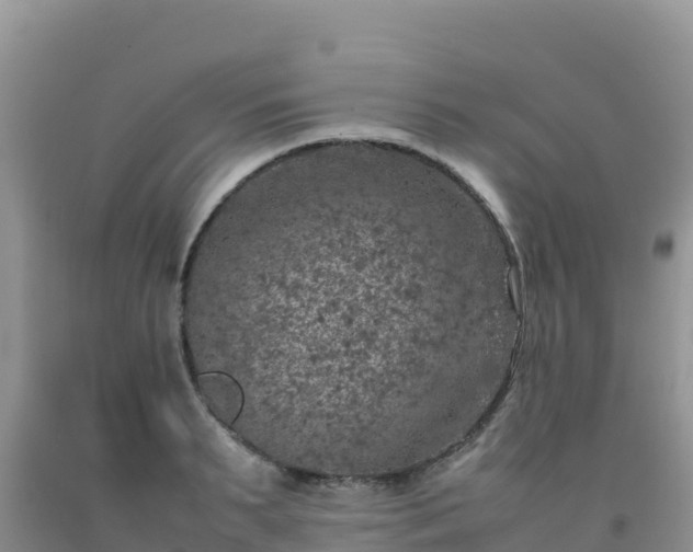 X0000092100895200709191304