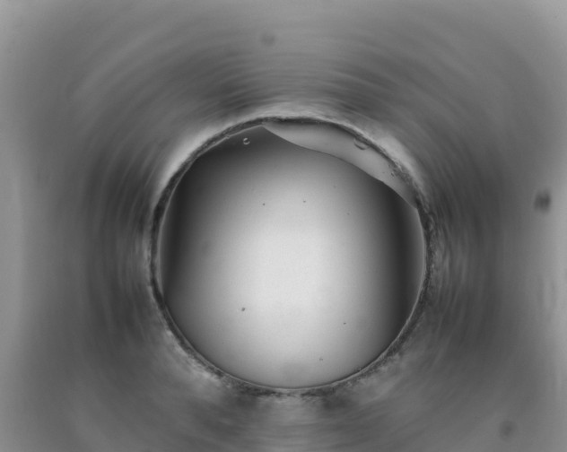 X0000092100896200709191304