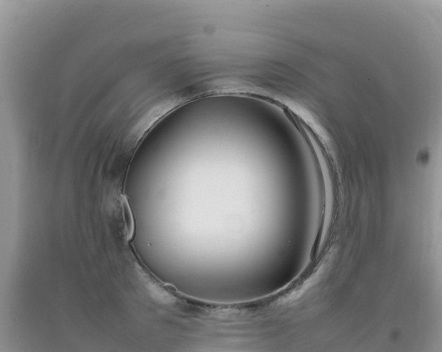 X0000092100897200709191304