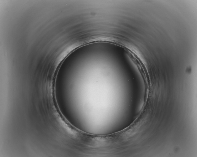 X0000092100898200709191304