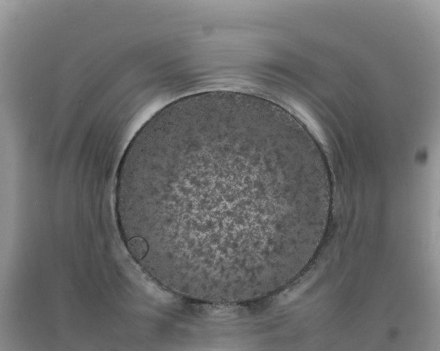 X0000092100899200709191304