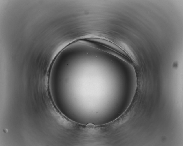 X0000092100900200709191304