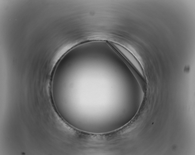 X0000092100901200709191304