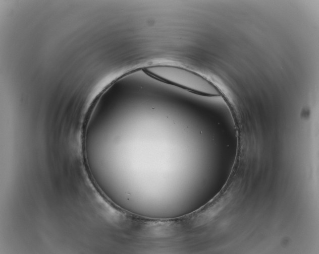 X0000092100902200709191304