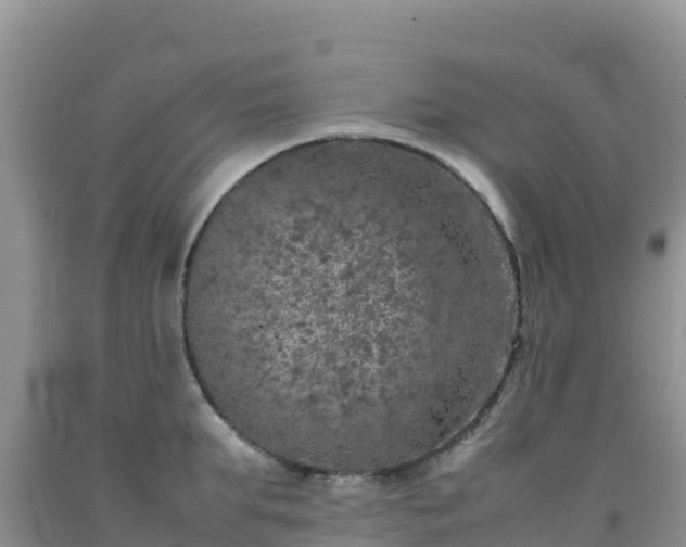 X0000092100903200709191304