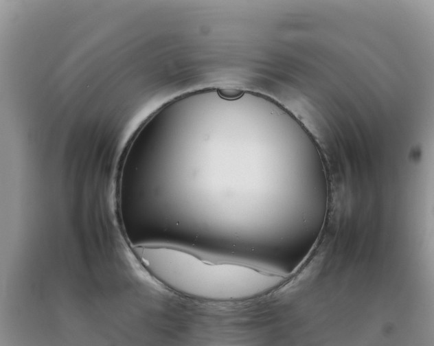 X0000092100904200709191304