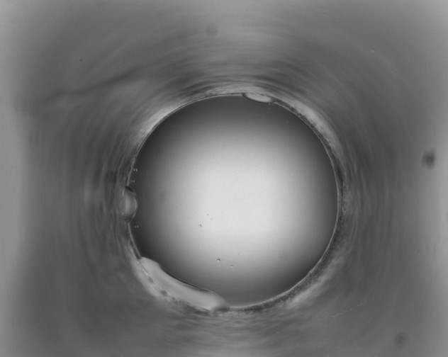 X0000092100905200709191304