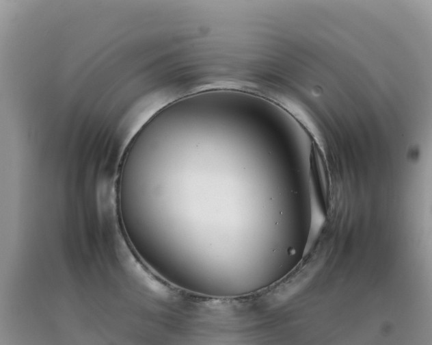 X0000092100906200709191304