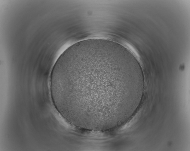 X0000092100907200709191304