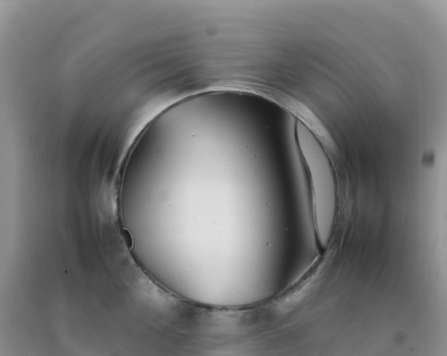 X0000092100908200709191304