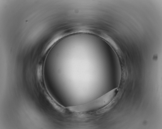 X0000092100910200709191304