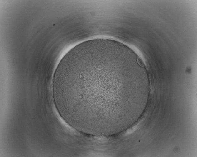 X0000092100911200709191304