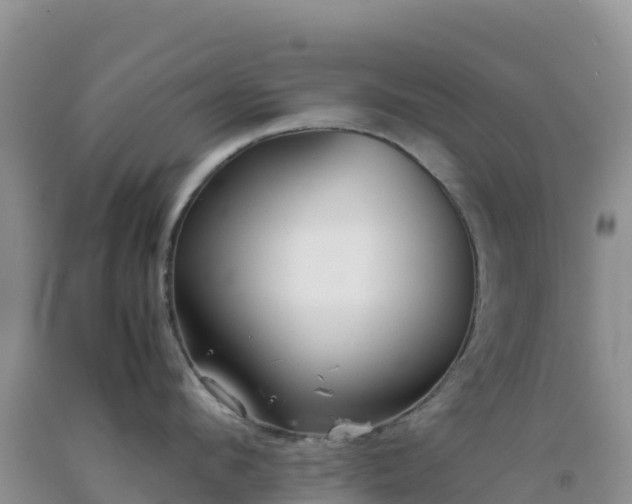 X0000092100912200709191304