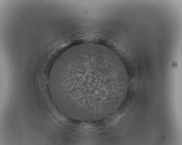 X0000092100913200709191303