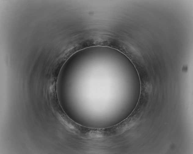 X0000092100914200709191303