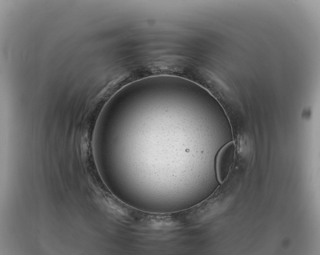 X0000092100915200709191303