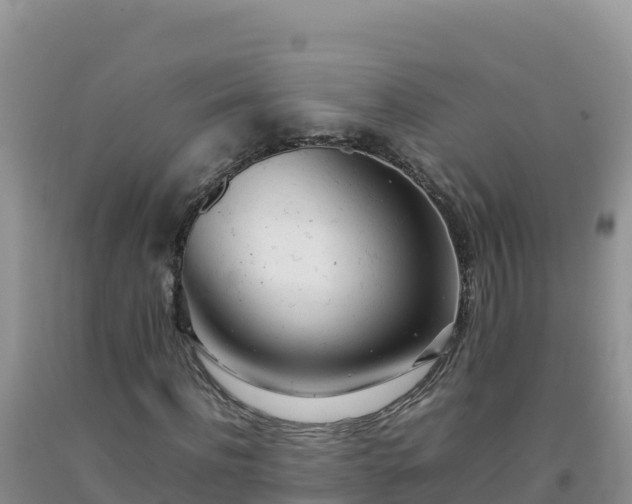 X0000092100916200709191303