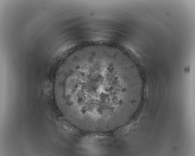 X0000092100917200709191303