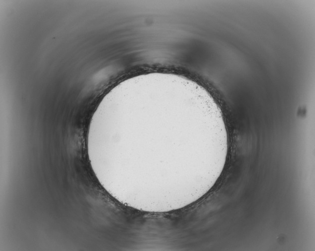 X0000092100918200709191303