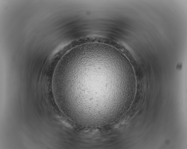 X0000092100919200709191304