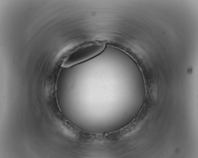 X0000092100920200709191304