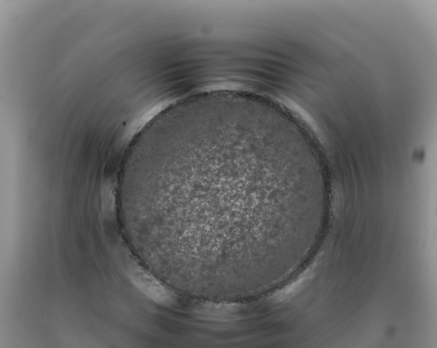 X0000092100921200709191304