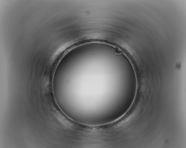 X0000092100922200709191304