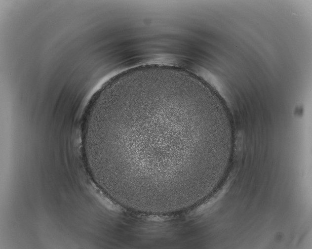 X0000092100923200709191304