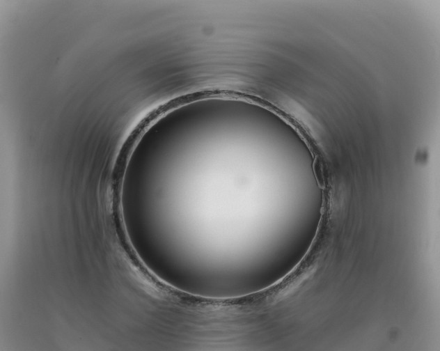 X0000092100924200709191304