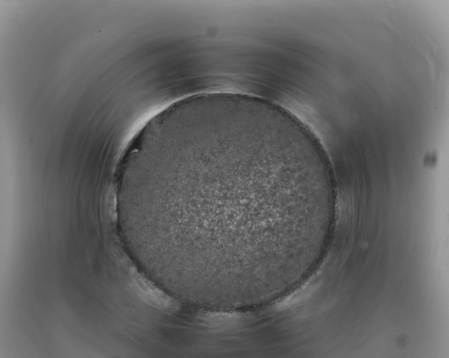 X0000092100925200709191304