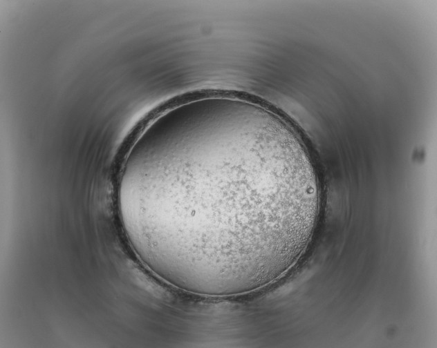 X0000092100926200709191304