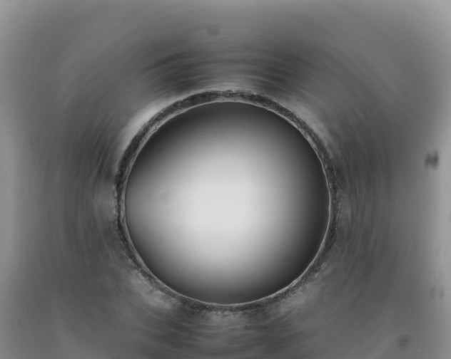 X0000092100927200709191304