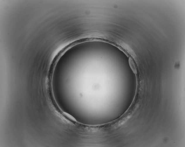 X0000092100928200709191304