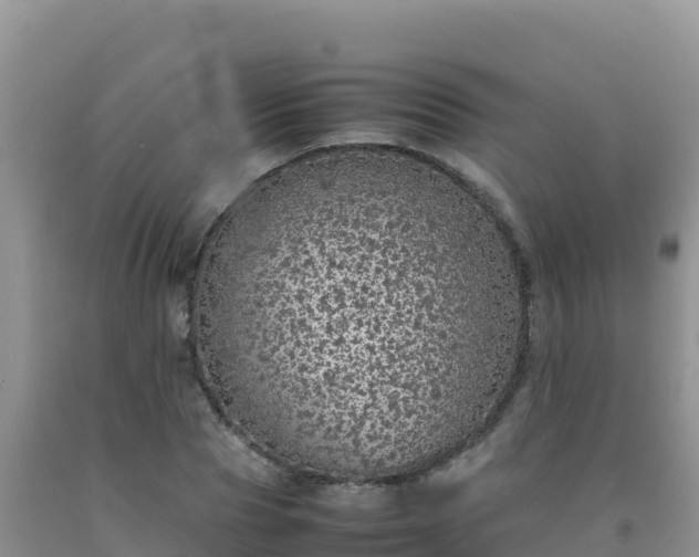 X0000092100929200709191304