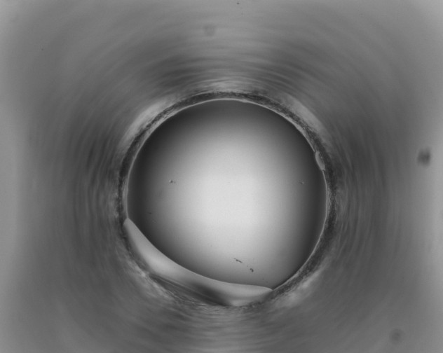 X0000092100930200709191304