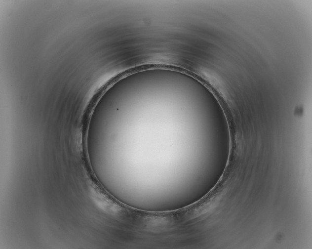 X0000092100931200709191304