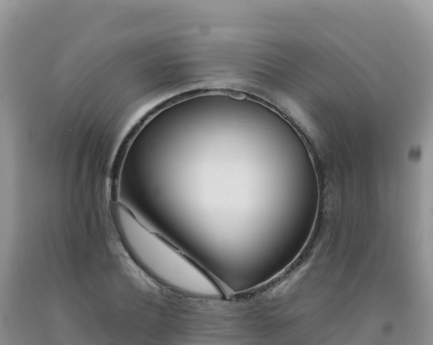 X0000092100932200709191304