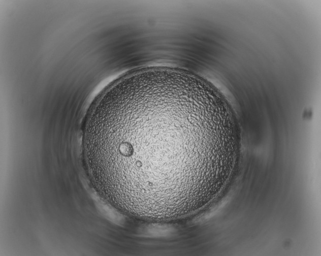 X0000092100933200709191304