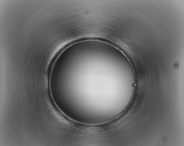 X0000092100934200709191304