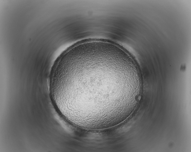 X0000092100935200709191304