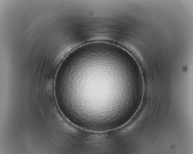 X0000092100937200709191304