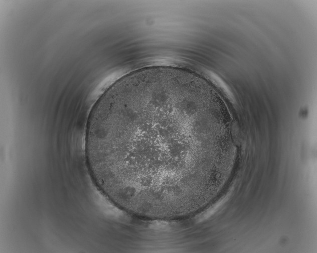 X0000092100938200709191304